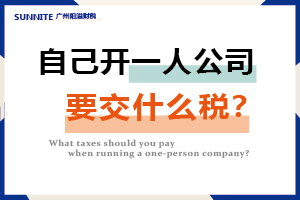 一人自己開(kāi)公司要交什么稅？